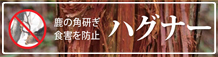 ハグナー
