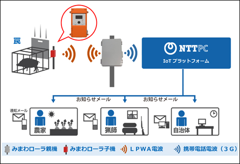 箱わな